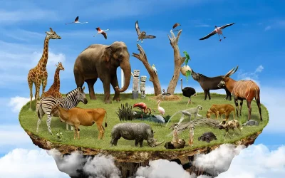 Acknowledging World Animal Day