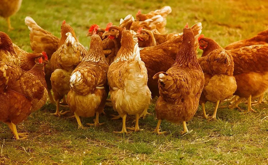 Making Small Changes To Create A Large Impact