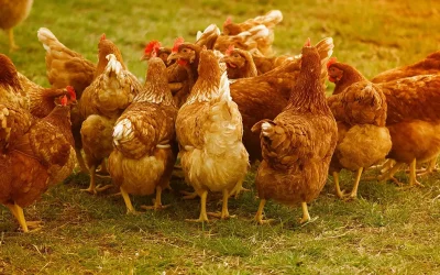 Making Small Changes To Create A Large Impact