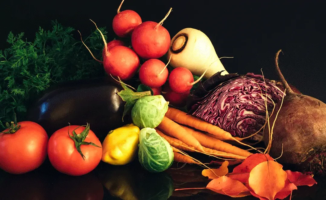 Conscious Eating for Sustainable Change